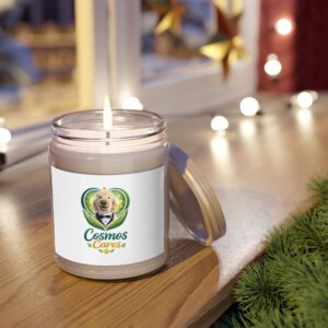 Scented Soy Candles with White Lid, 9oz