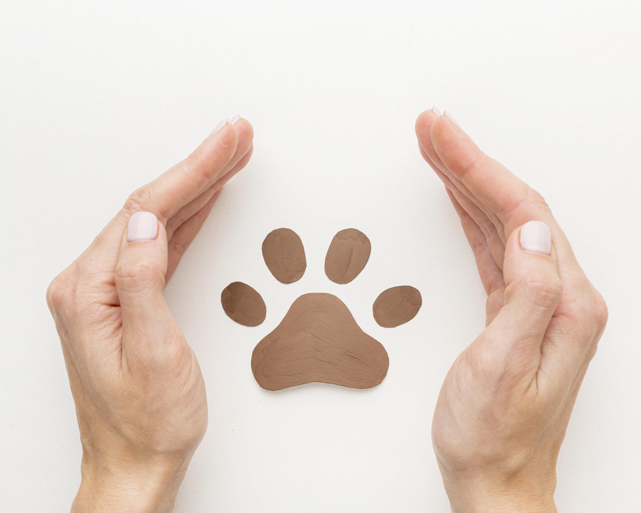 No Pet Store Puppies Day: